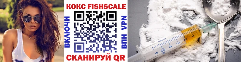где купить наркоту  Дудинка  Кокаин FishScale 