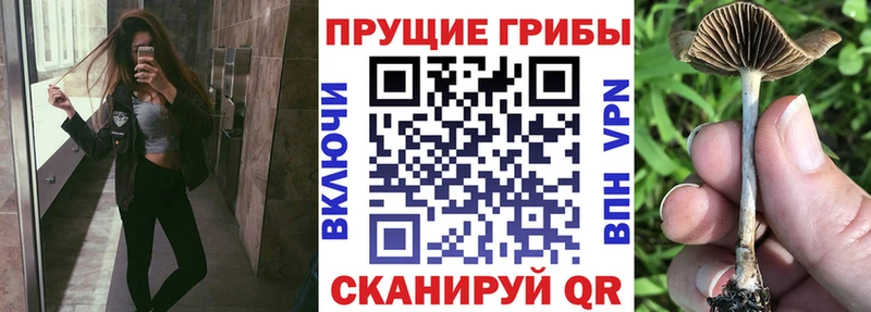 Псилоцибиновые грибы Magic Shrooms  kraken онион  Дудинка  наркошоп 